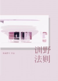 训野法则[破镜重圆]